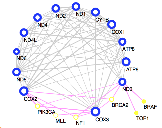 Network icon